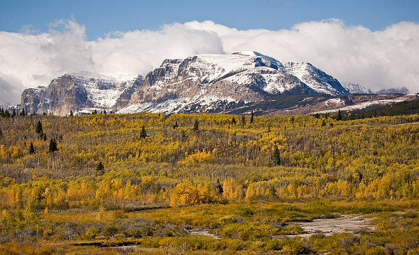 East Glacier Fall stock photo