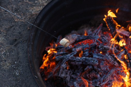 roasting marshmellow over an open fire. Some visible noise.