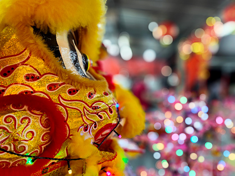 Lion dance performance for Lunar New Year celebration.