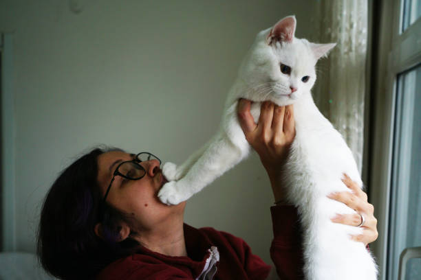 istock woman with white british cat 1460261128