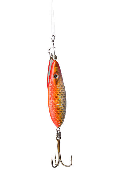 Fishing Lure Images – Browse 56,556 Stock Photos, Vectors, and