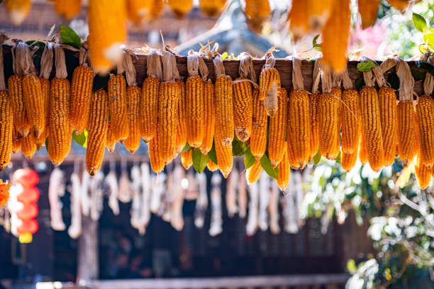 istock Background of mature corn cob 1460263032