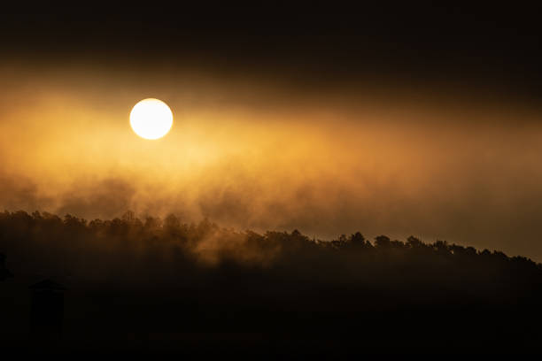 istock Sun rising over a forest on a cold day.. 1460264233