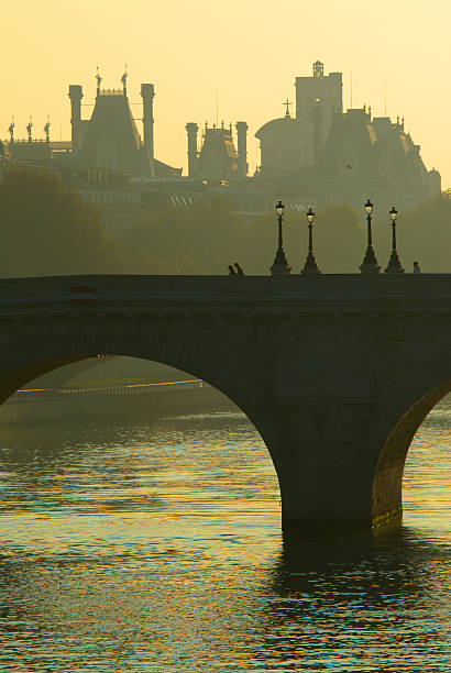 istock Pont Neuf bridge over the Seine, Paris 146026679