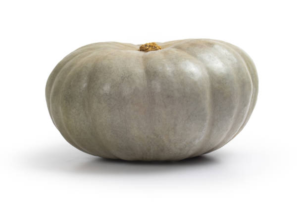 istock Jarrahdale winter squash pumpkin isolated on white background 1460268433