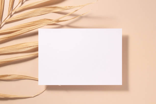 istock Card mockup with copy space top view, flat lay. Greetings, wedding invitations blank, paper sheet and dry palm leaf on beige background. 1460269798