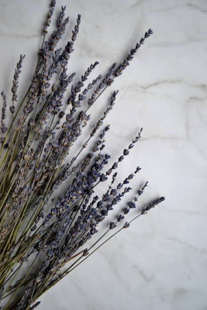 istock bouquet of lavender flowers on white marble surface 1460270136