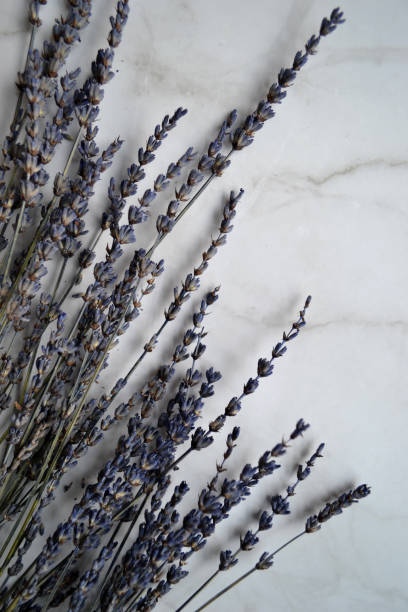 istock bouquet of lavender flowers on white marble surface 1460270144