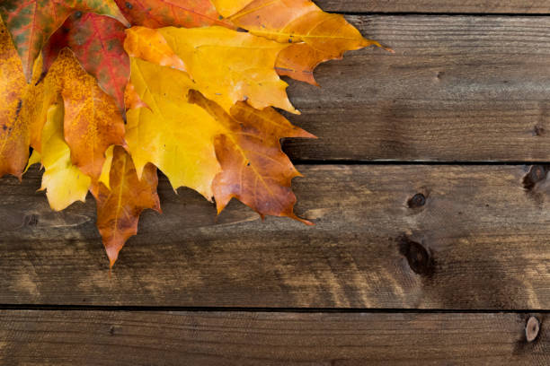 istock Autumn background for text, lettering, maple leaves on a wooden table 1460271639