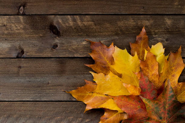 istock Autumn background for text, lettering, maple leaves on a wooden table 1460271883