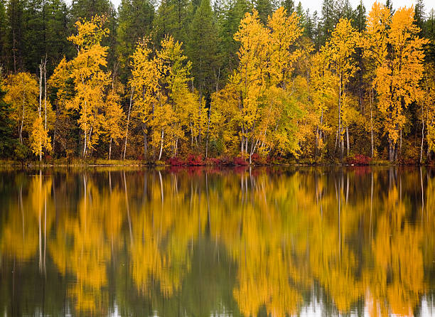 Northern Montana Fall stock photo