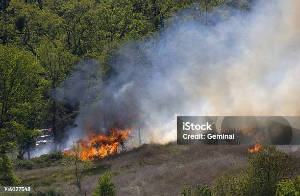 California Firefighter Stock Photo - Download Image Now - California, Forest Fire, Farm