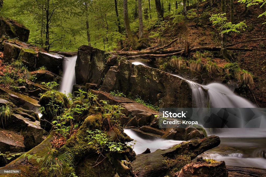 Rio de montanha na Floresta de montanha com uma cascata - Royalty-free Ao Ar Livre Foto de stock
