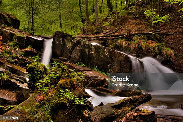 Rio De Montanha Na Floresta De Montanha Com Uma Cascata - Fotografias de stock e mais imagens de Ao Ar Livre
