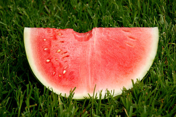 워터멜론 물다 - watermelon missing bite melon grass 뉴스 사진 이미지