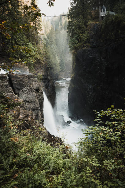 istock Elk Falls - Kanada - Vancouver Island 1460284634