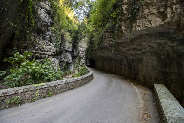 istock Scenic road on Lake Garda 1460287430