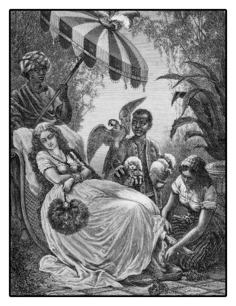 XIX century illustration, midday pause in a Florida plantation: young lady sleeps outdoors under a parasol surrounded by servants XIX century illustration, midday pause in a Florida plantation: young lady sleeps outdoors under a parasol surrounded by servants slave plantation stock illustrations