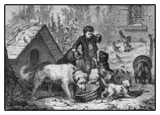 XIX century illustration, country life: boy feeding dogs surrounded by farm animals