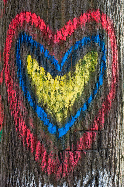 Free Stock Photo of Close Up of Tree With Graffiti | Download Free ...