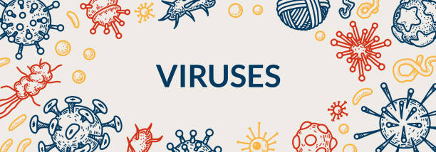 illustrazioni stock, clip art, cartoni animati e icone di tendenza di banner orizzontale del virus. illustrazione vettoriale scientifica in stile schizzo - citomegalovirus