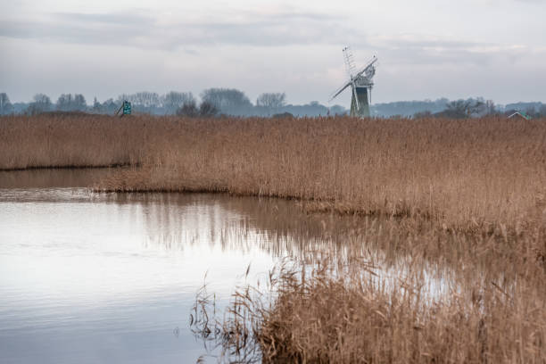 St Benet's Mill across Upton Marshes ii. Upton marshes, December 2020