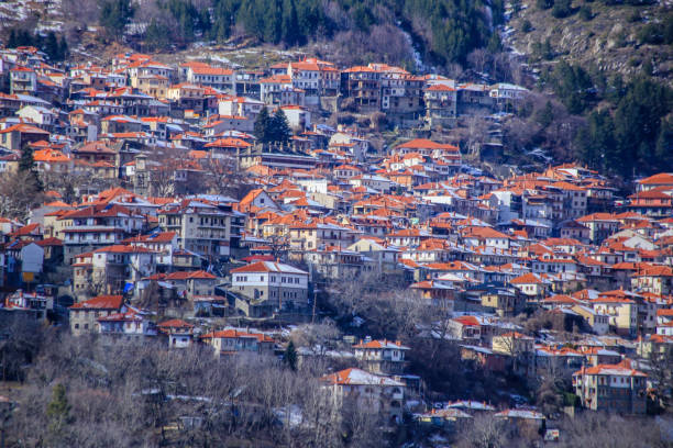 metsovo city 그리스에는 pindos 산에 관광객 레토르트에 주택이 있습니다. - 16187 뉴스 사진 이미지