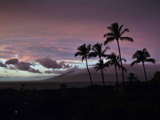istock storm clouds light up a vibrant violet color just before sunset in wailea, hawai'i. 1460298150
