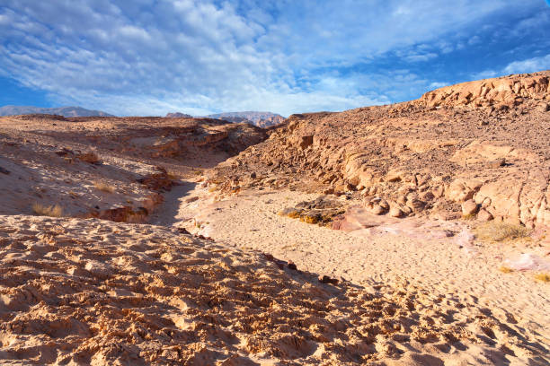 istock Rock mountain desert in Abu Galum, Egypt 1460302283