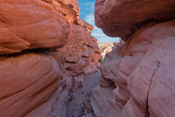 egipto, cañón de colores en abu galum, sinaí - canyon rock mountain cliff fotografías e imágenes de stock
