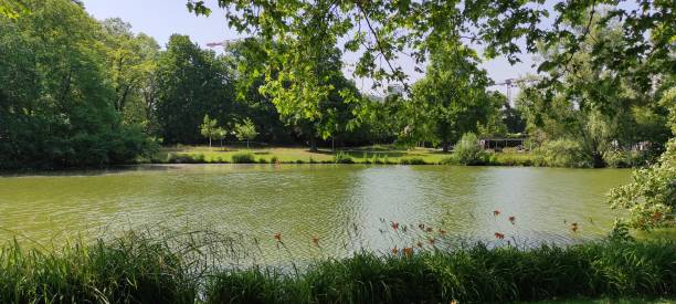 istock Green area is around the lake 1460305277