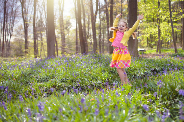 Young girl happy laughing picking bluebell flowers outside in spring summer forest woodland uk