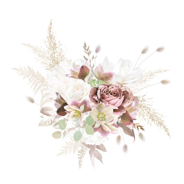 Mauve purple rose, dusty pink, brown and green hellebores, white rose, pampas grass, dried plants vector design Mauve purple rose, dusty pink, brown and green hellebores, white rose, pampas grass, dried plants vector design bouquet. Wedding floral garland. Watercolor. All elements are isolated and editable drawing of a green lisianthus stock illustrations
