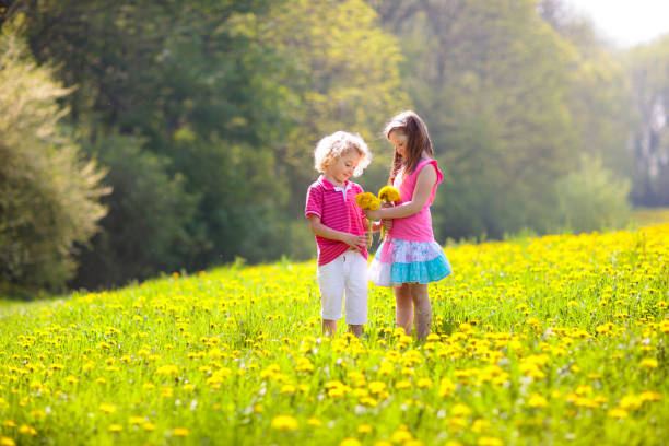 kinder spielen. kind im löwenzahnfeld. sommerblume - baby toddler child flower stock-fotos und bilder