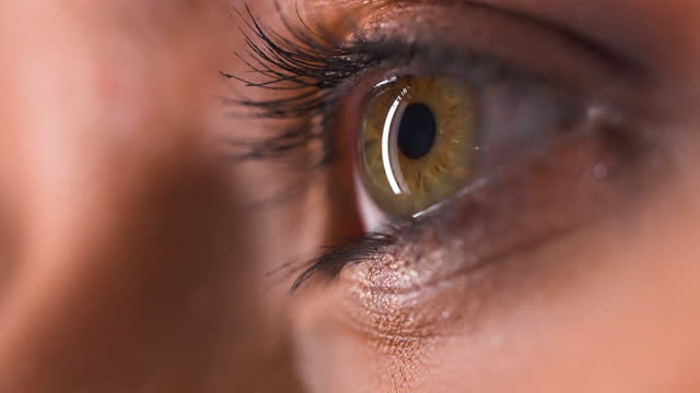Macro plan of female green eye.