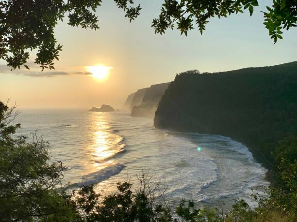 Pololu Valley Hawaii at Sunrise The morning sun illuminated the Pololu Valley just after dawn creating a breathtaking view with the towering cliffs, lush vegetation and turquoise waters. Gentle waves and misty sea breeze enhance the colors even further. pololu stock pictures, royalty-free photos & images