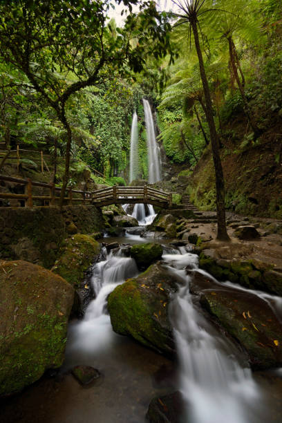 istock The Beauty of Jumog Waterfall 1460324864