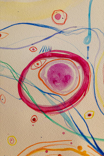 Table-top view of a watercolor abstract painting with lines and radial forms on bright paper colored.