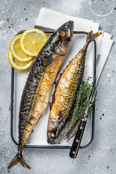 istock Roasted Mackerel Scomber fish in baking dish. Gray background. Top view 1460325389