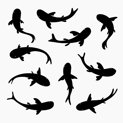 A set of black and white fish silhouettes isolated on white background.