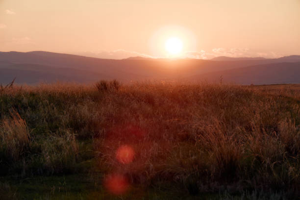 istock Beautiful scenery with hills and meadows in evening light. 1460335202