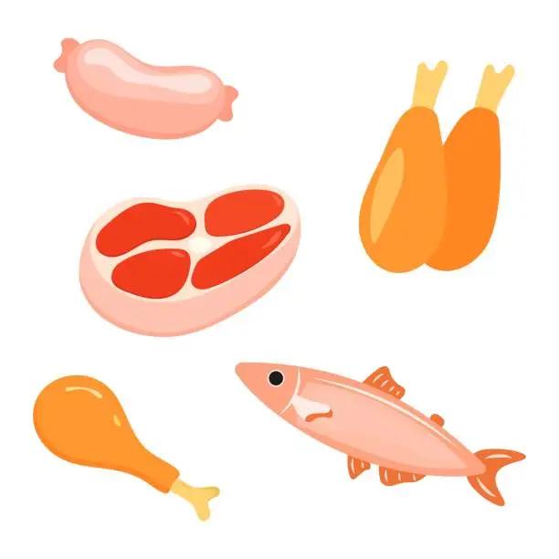Vector illustration of Set assorted food. Ingredients for cooking. Fish, meat, turkey, chicken, sausage. Cute flat style.