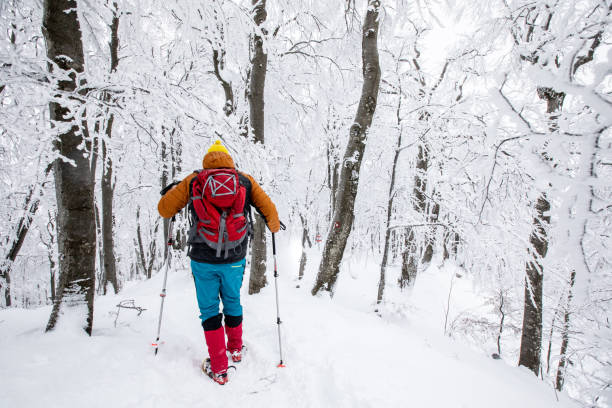 istock Hiker Carefully descending from the mountain after a blizzard 1460336239