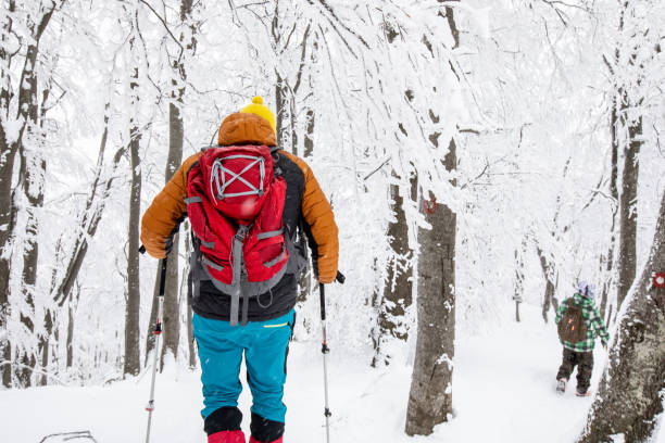 istock Winter hiking adventures in deep snow 1460336261