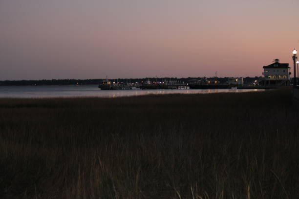 istock Charleston, South Carolina 1460339884