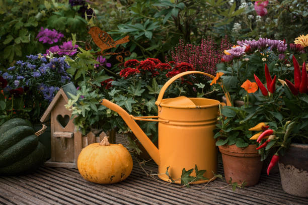 Thanksgiving autumn decor in garden