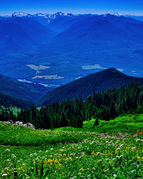 istock Peaceful Valley and Majestic Peaks 1460341715