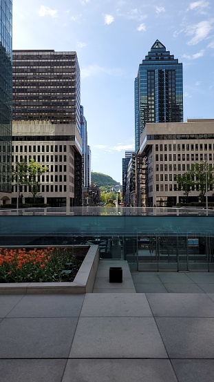 Vue sur les gratte-ciels du centre-ville de Montréal et du Mont-Royal a partir de l'esplanade de la Place-Ville-Marie.