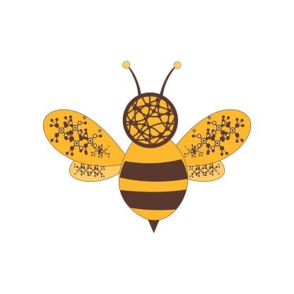 digital network bee logo and vector icon