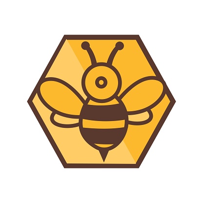 modern digital hexagon bee logo and vector icon